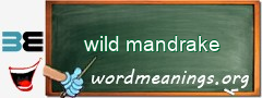 WordMeaning blackboard for wild mandrake